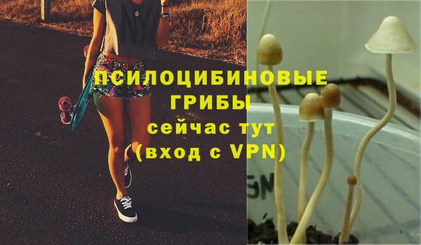 сатива Артём
