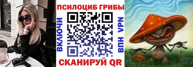 Псилоцибиновые грибы Psilocybe  Балаково 