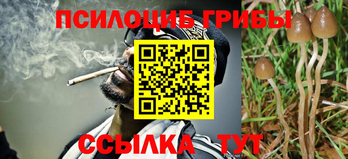 Галлюциногенные грибы мухоморы  Балаково 