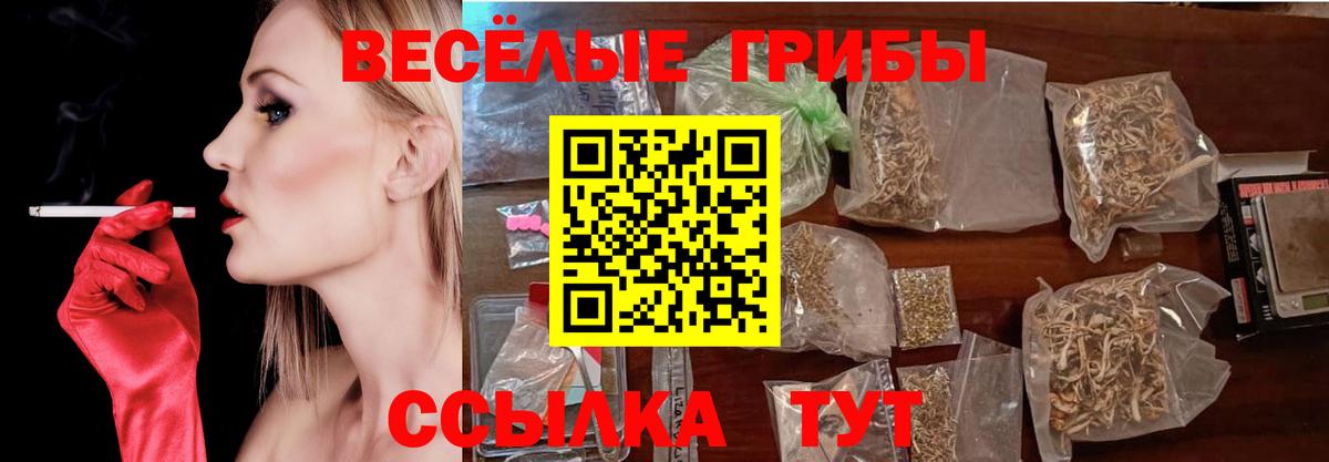 Псилоцибиновые грибы Psilocybine cubensis  Псилоцибиновые грибы GOLDEN TEACHER  Вход с VPN  Балаково 